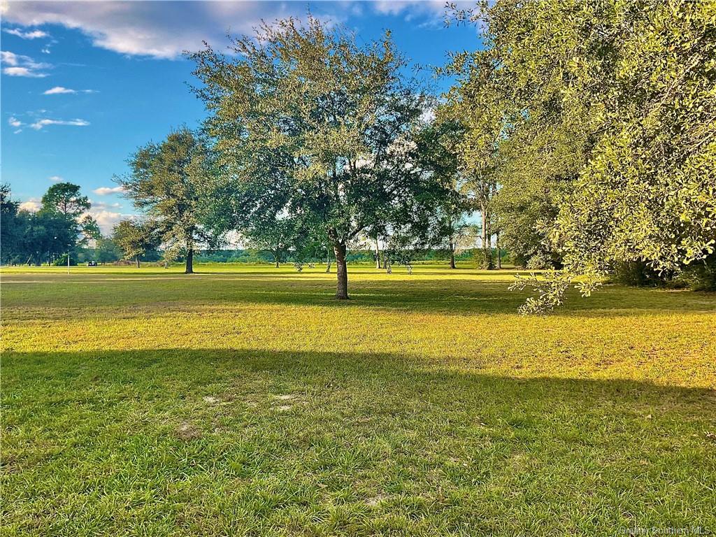 426 Marvin Shirley Road Deridder, LA 70634 - Photo 15 of 18