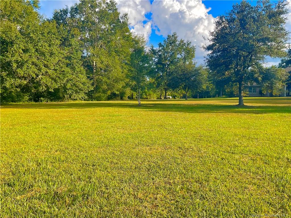 426 Marvin Shirley Road Deridder, LA 70634 - Photo 17 of 18