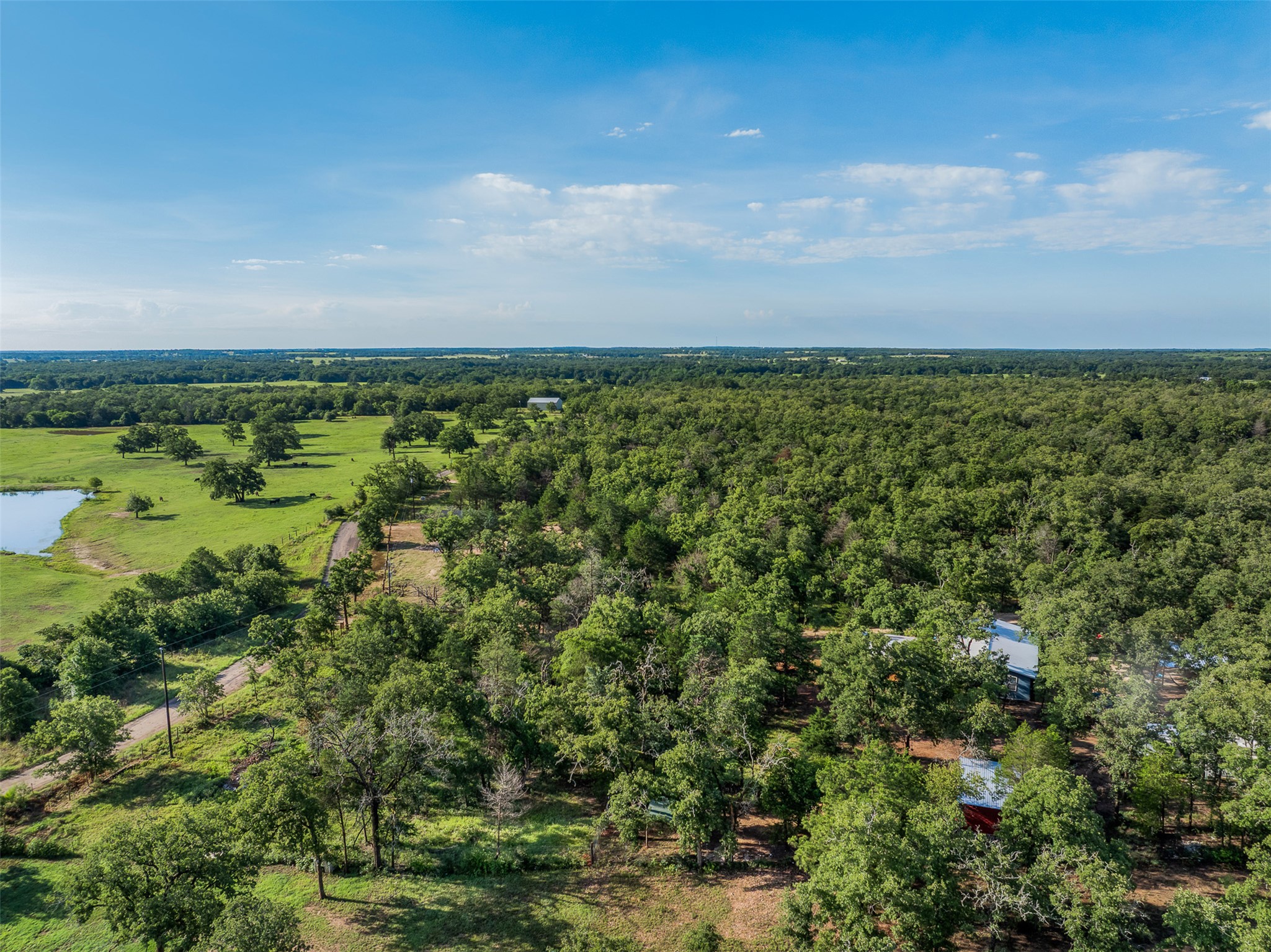Tbd Lincoln Lake Road Paige, TX 78659 - Photo 21 of 29 a view of a green field