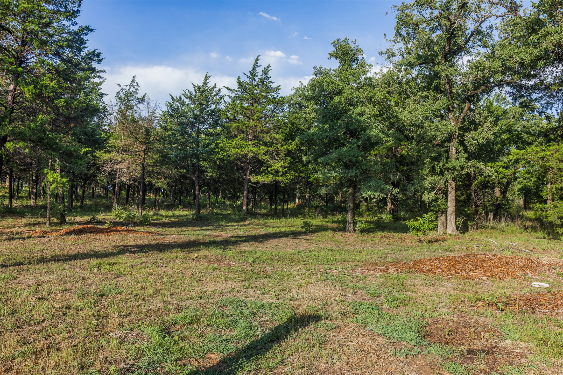 Tbd Lincoln Lake Road Paige, TX 78659 - Photo 3 of 29 a view of a backyard with large trees