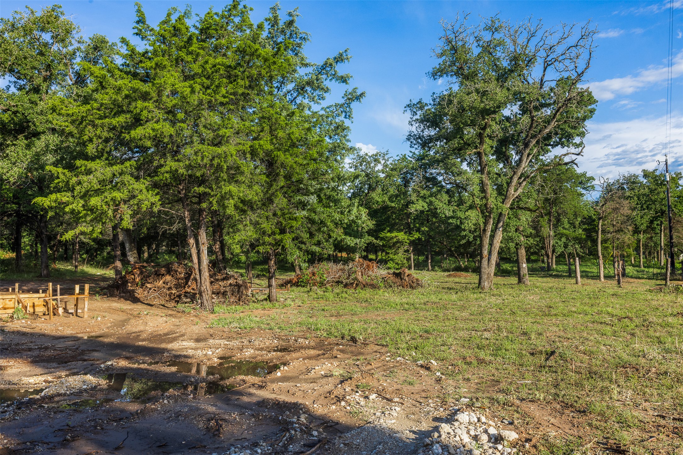Tbd Lincoln Lake Road Paige, TX 78659 - Photo 7 of 29 a backyard of a house with lots of green space