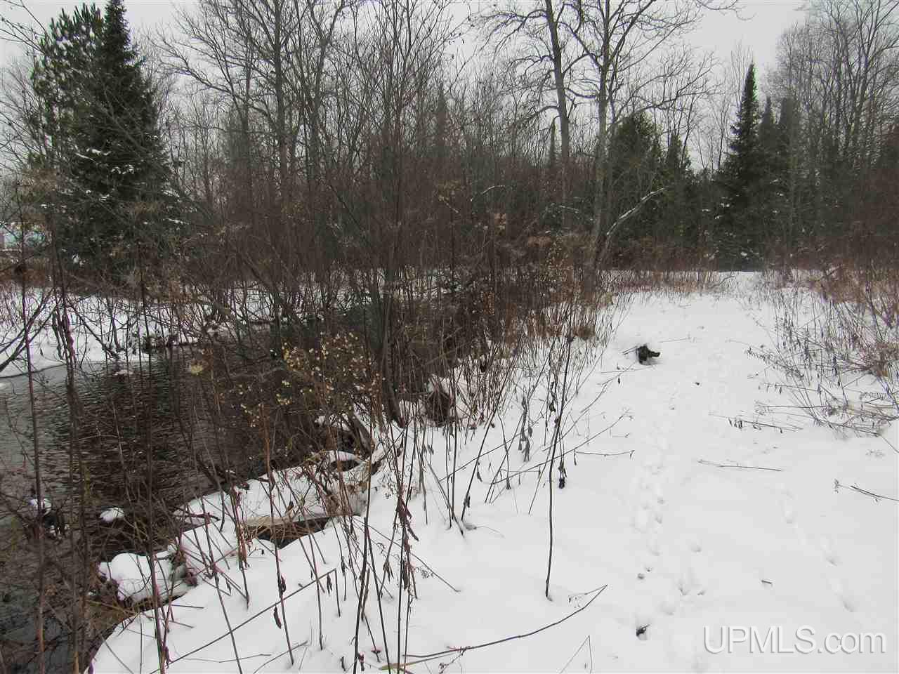 Tbd Johnson Creek Road Chatham, MI 49816 - Photo 14 of 28 Gallery Image 14