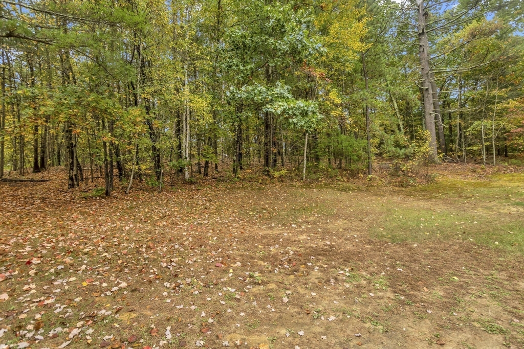55-a B Randall Road Montague, MA 01351 - Photo 33 of 33 a view of outdoor space with trees
