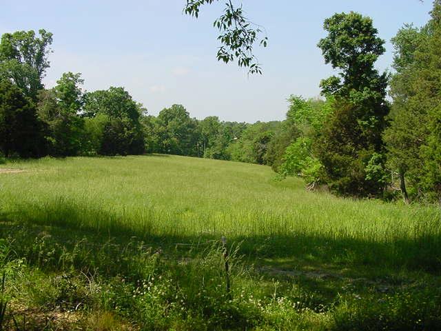 936 Pumpkintown Road Red Boiling Springs, TN 37150 - Photo 6 of 14