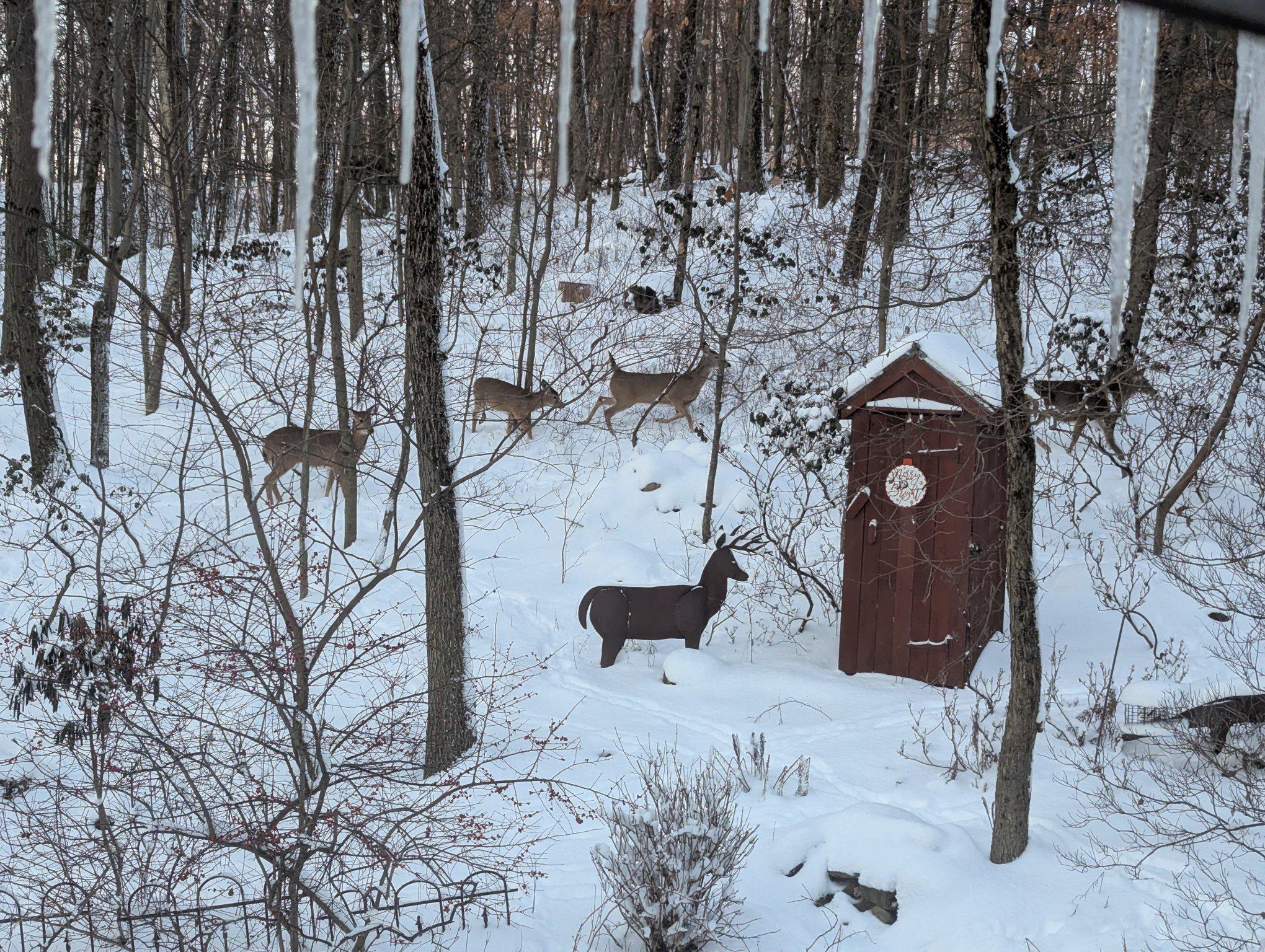 635 Laurel Ridge Road Reinholds, PA 17569 - Photo 56 of 63 You'll see beautiful deer all year round!