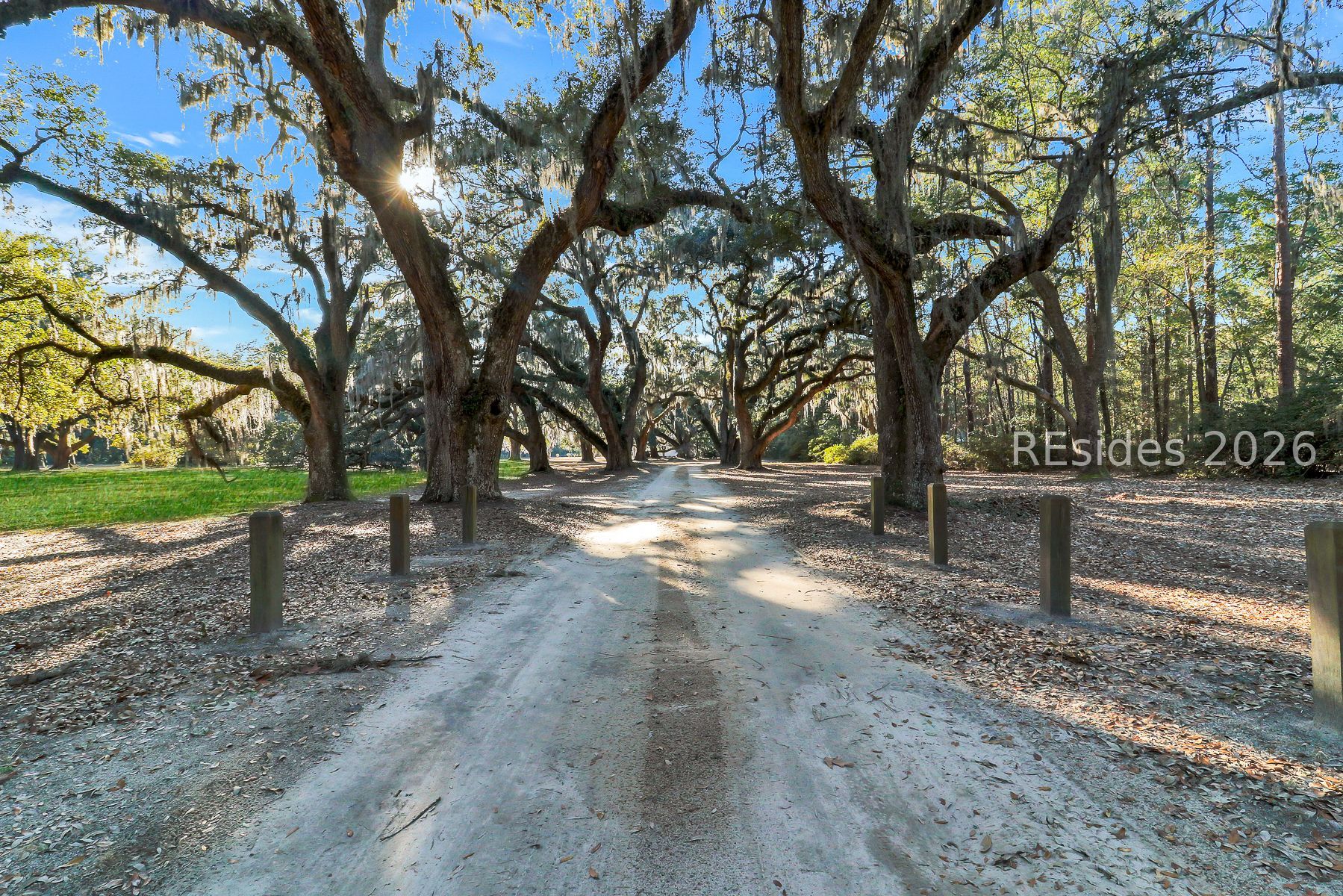 893 Grays Highway Ridgeland, SC 29936 - Photo 2 of 69 Entrance with Avenue of Angel Oaks