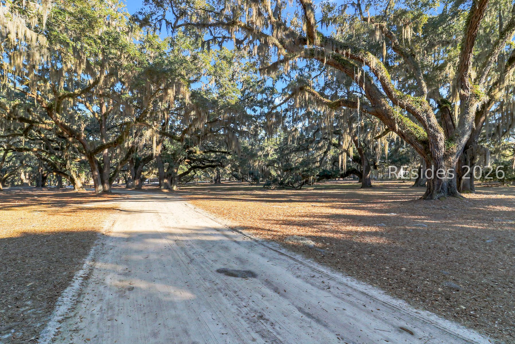 893 Grays Highway Ridgeland, SC 29936 - Photo 4 of 69 Grand Avenue of Oaks!