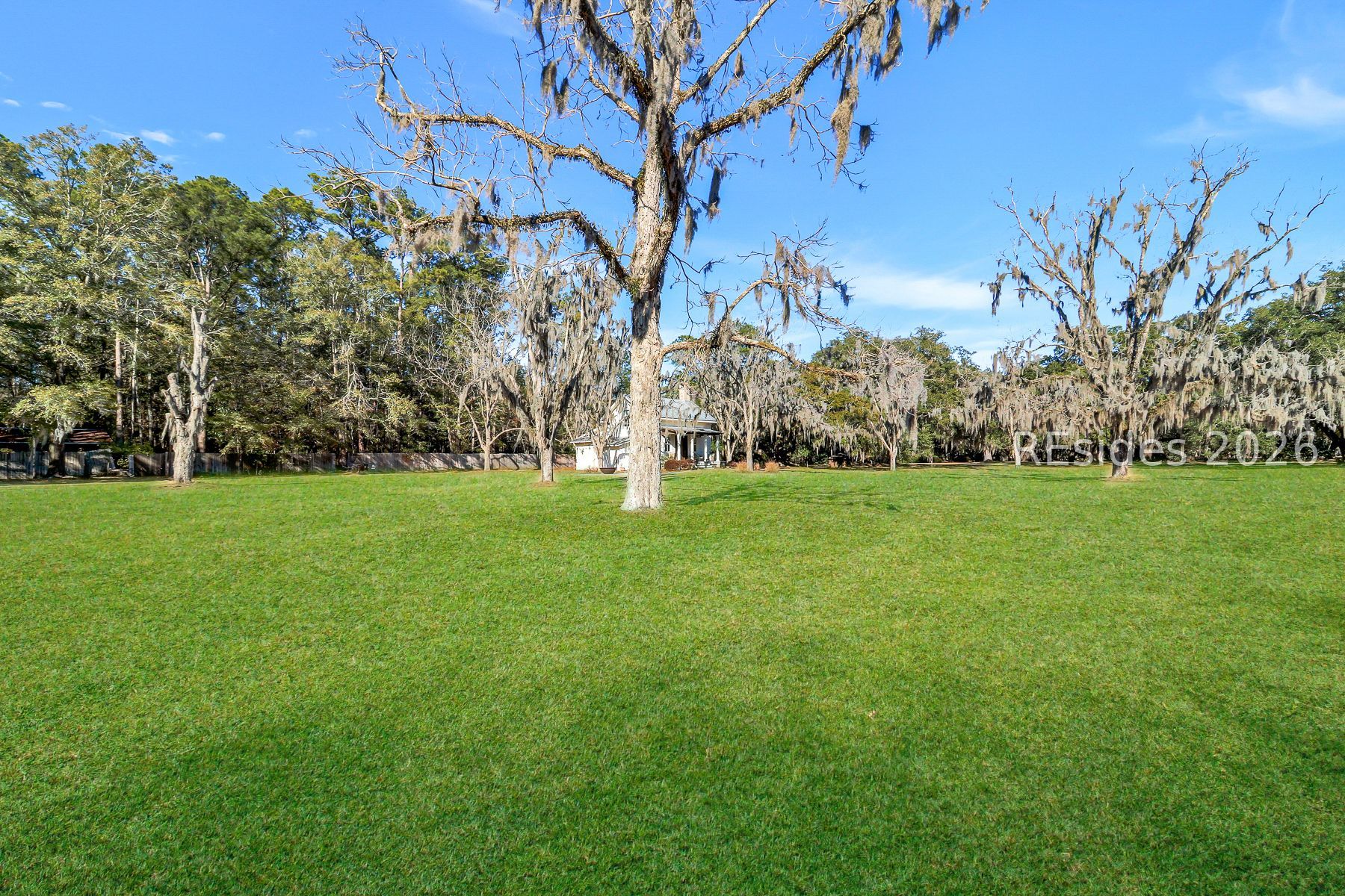 893 Grays Highway Ridgeland, SC 29936 - Photo 62 of 69 Pecan Orchard