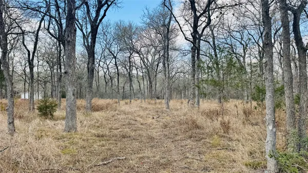 a view of a yard with trees
