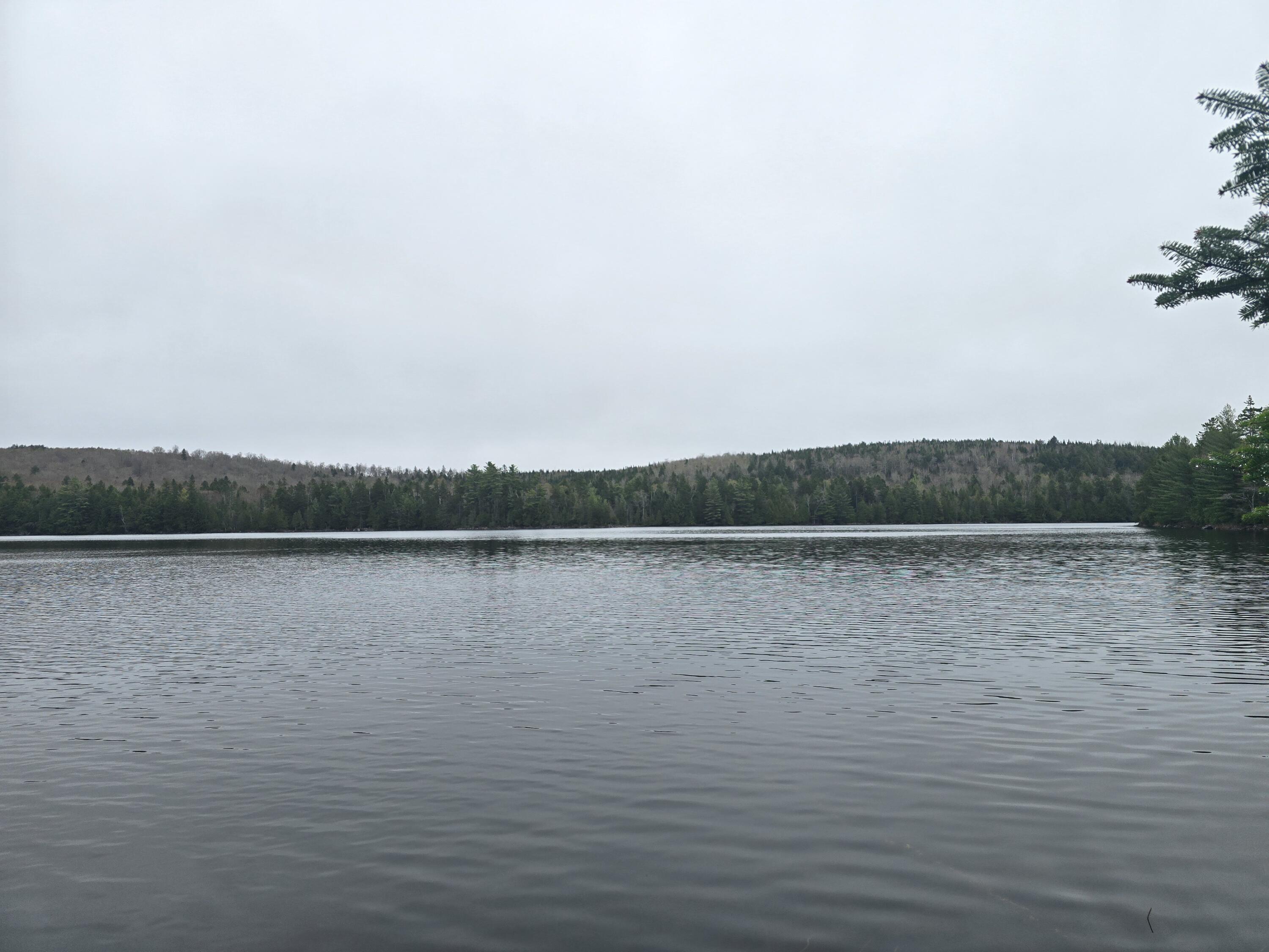Lot D Lot D Deer Point Road Robbinston, ME 04671 - Photo 12 of 21 20250507_125126