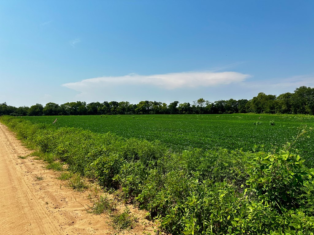 2.61-acres Burdeshaw Road Dothan, AL 36301 - Photo 5 of 8