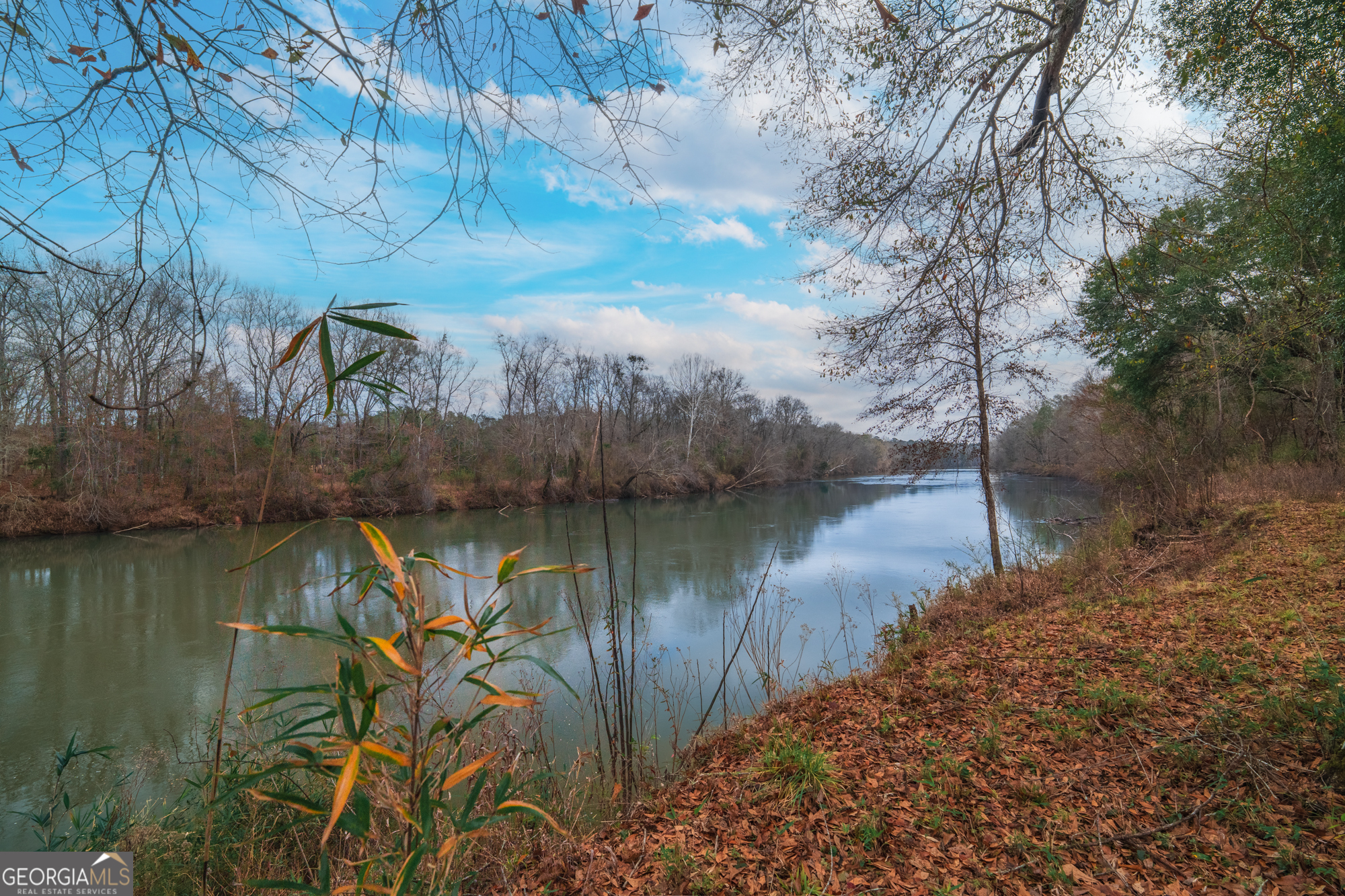 0 Turkey Run Road, Unit LOT 4 Juliette, GA 31046 - Photo 7 of 13 Gallery Image 7