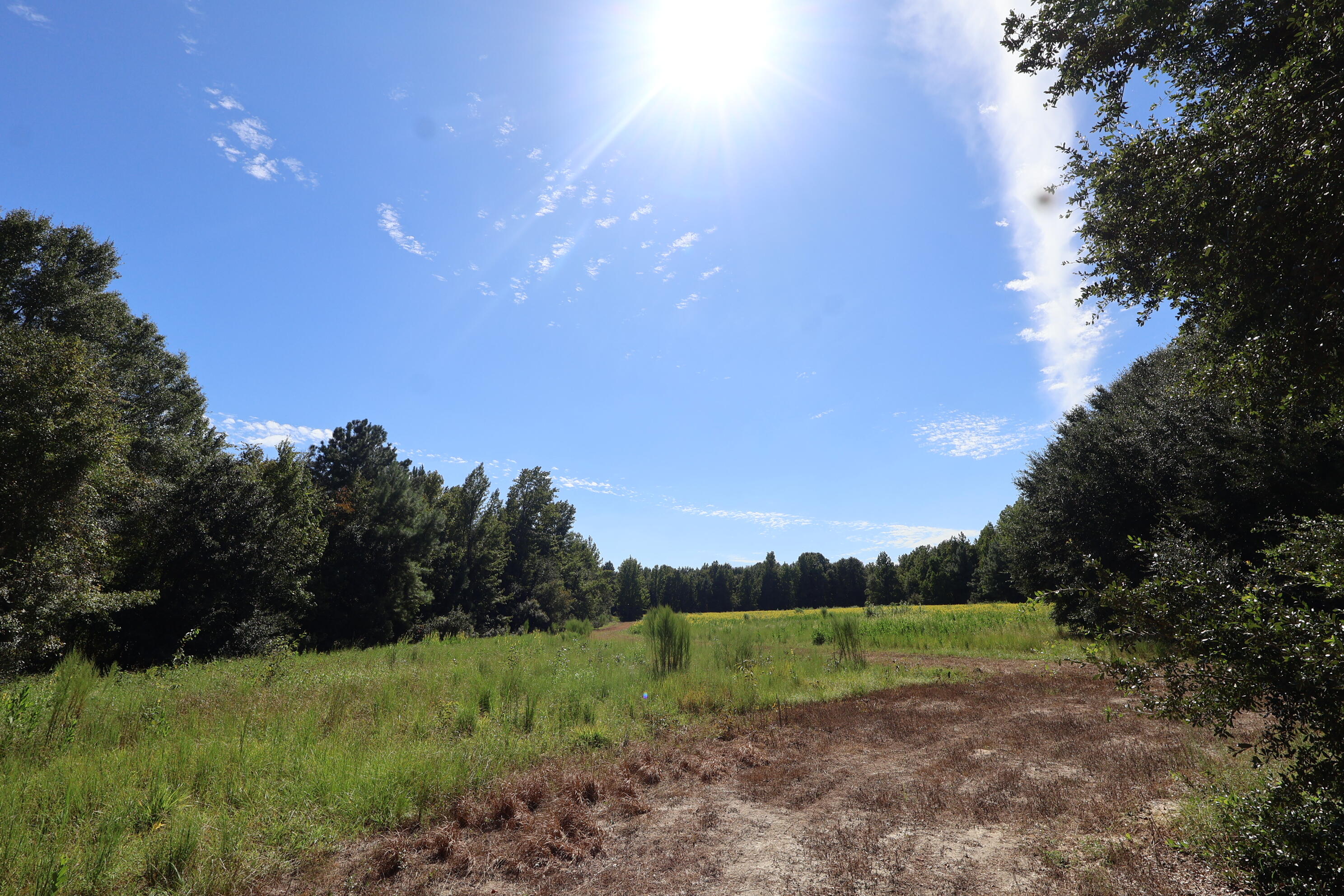 1349 Patton Road Manning, SC 29102 - Photo 1 of 13