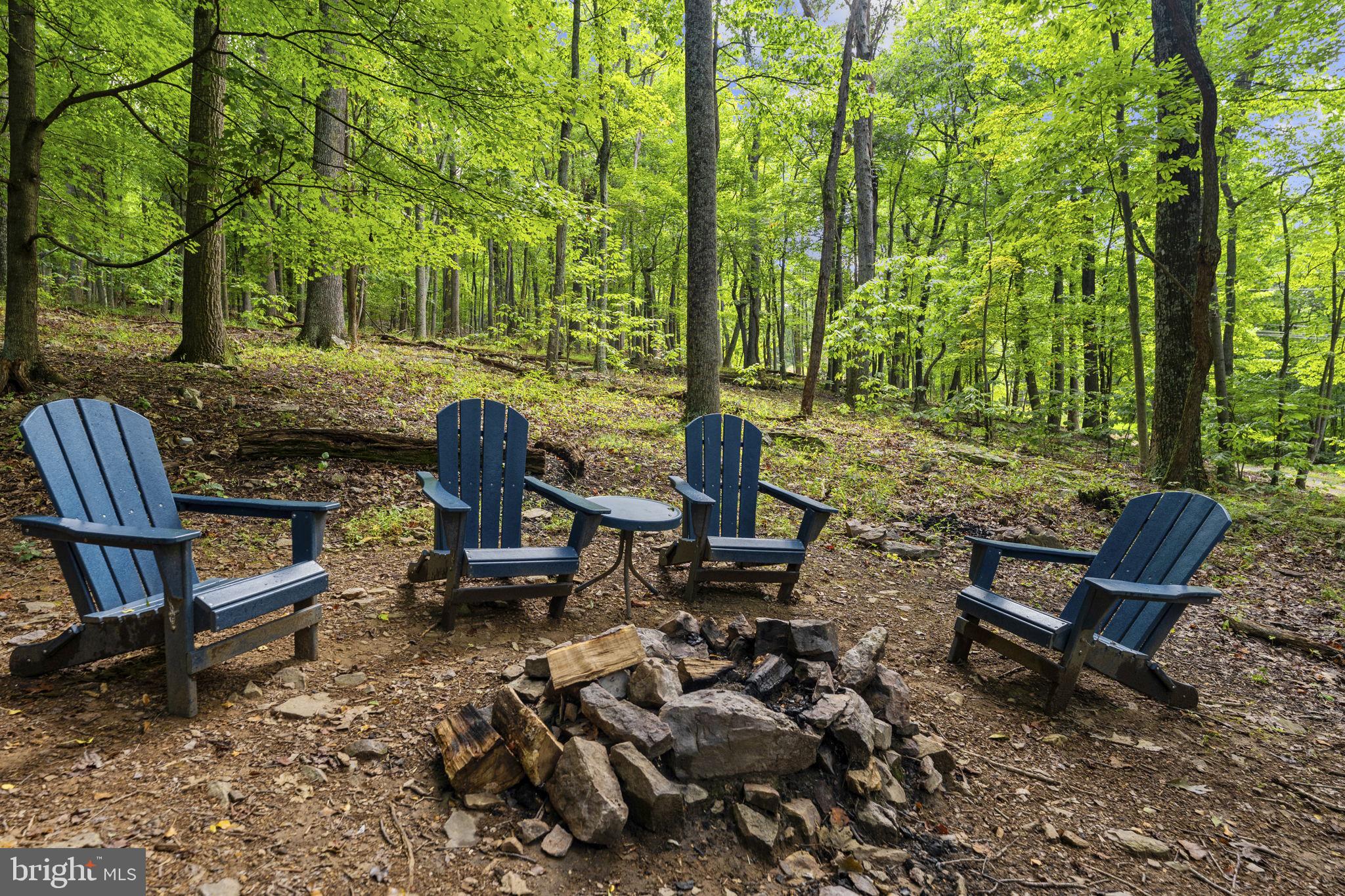 356 Razor Back Road Great Cacapon, WV 25422 - Photo 41 of 51 Gallery Image 41