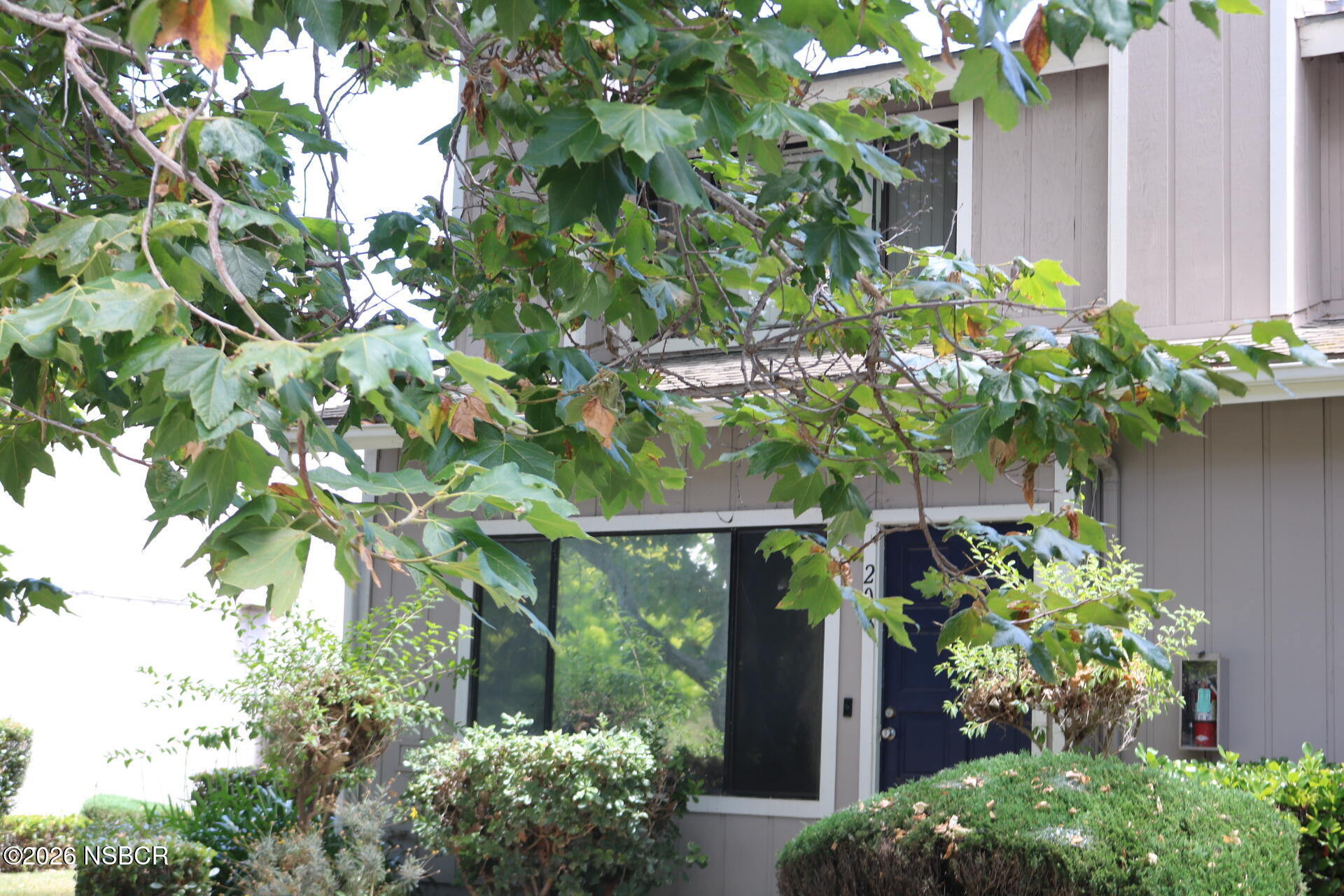 208 North R Street Lompoc, CA 93436 - Photo 2 of 22 a plant that is in front of a house