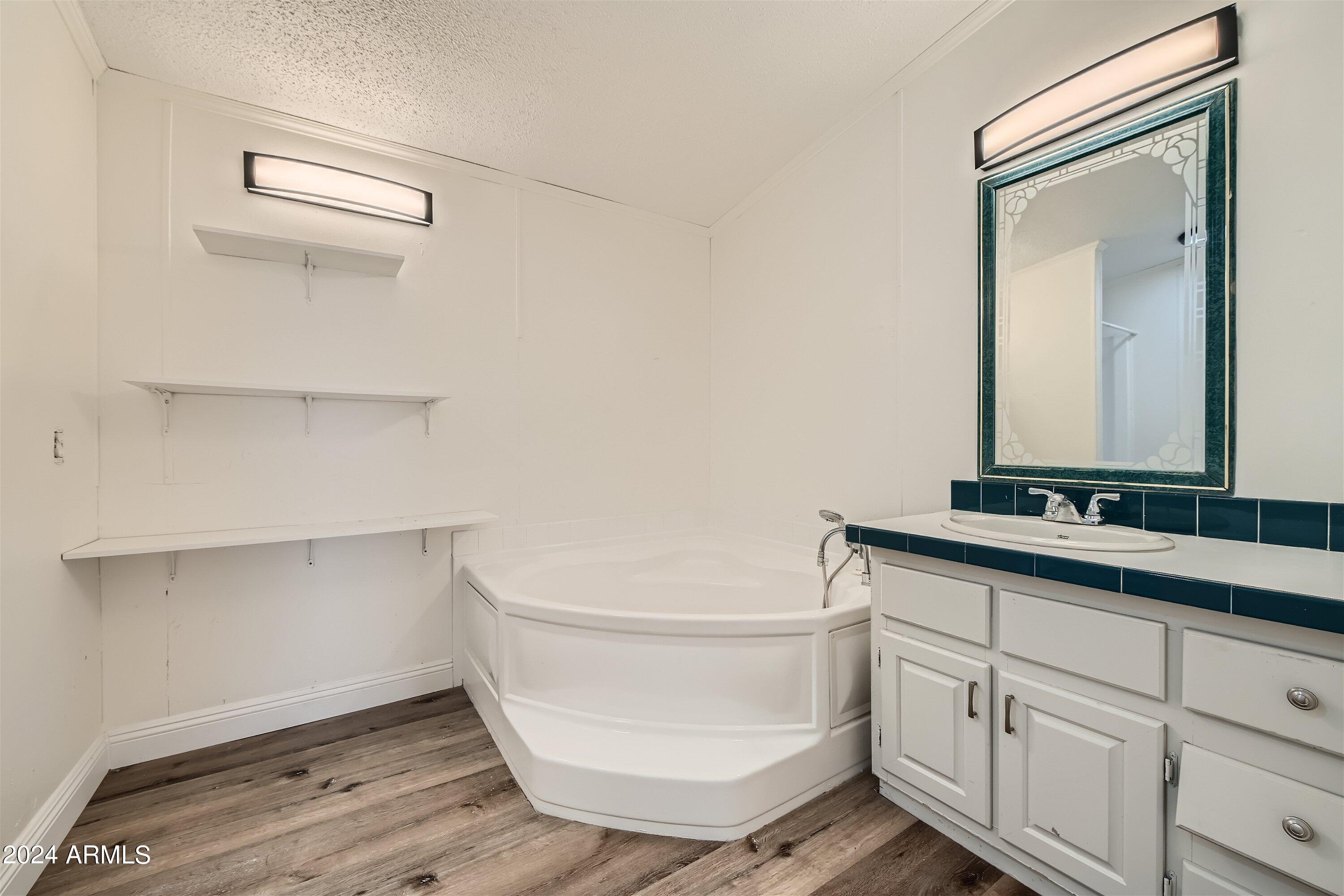 1954 South Mariposa Road Apache Junction, AZ 85119 - Photo 14 of 27 Master Bath