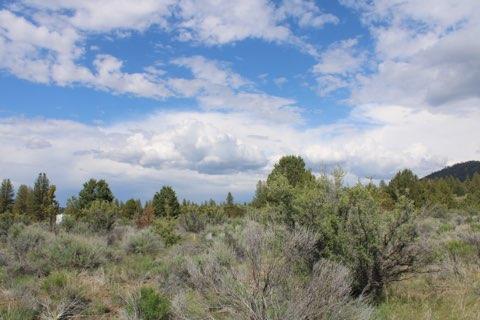 Deer Springs Road Beatty, OR 97621 - Photo 9 of 13 IMG_2562