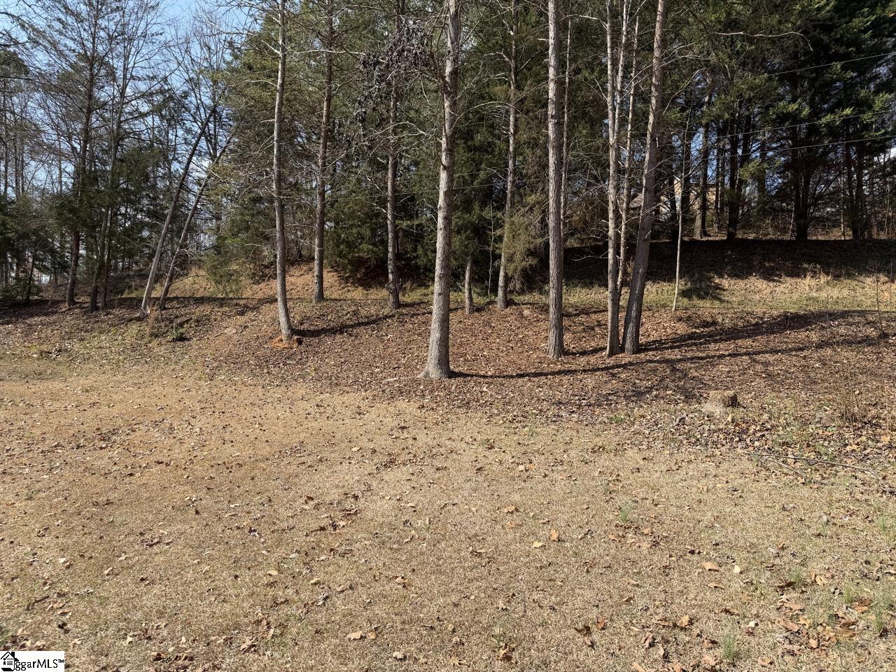 111 River Ridge Drive Moore, SC 29369 - Photo 13 of 49