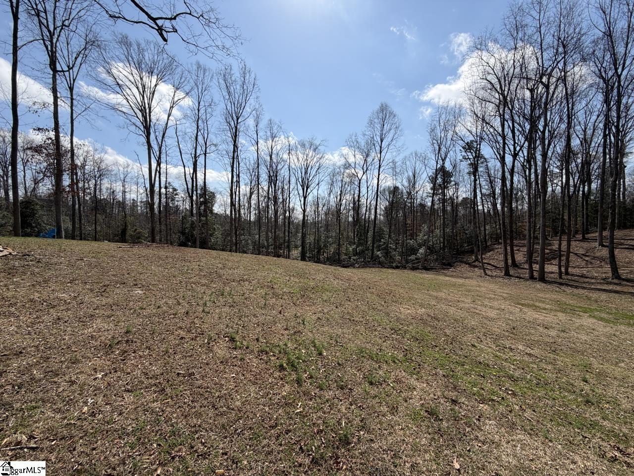 111 River Ridge Drive Moore, SC 29369 - Photo 15 of 49