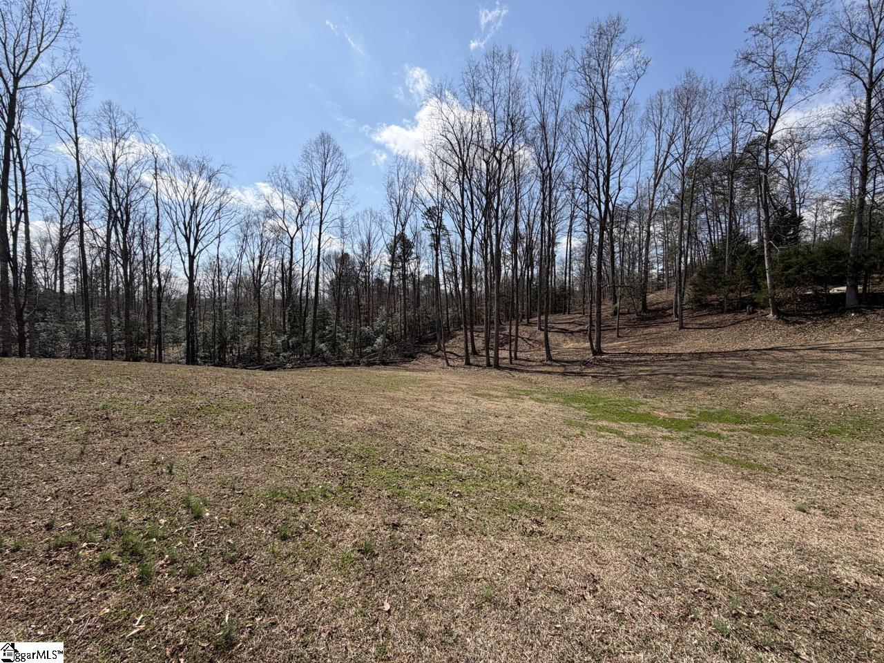 111 River Ridge Drive Moore, SC 29369 - Photo 16 of 49