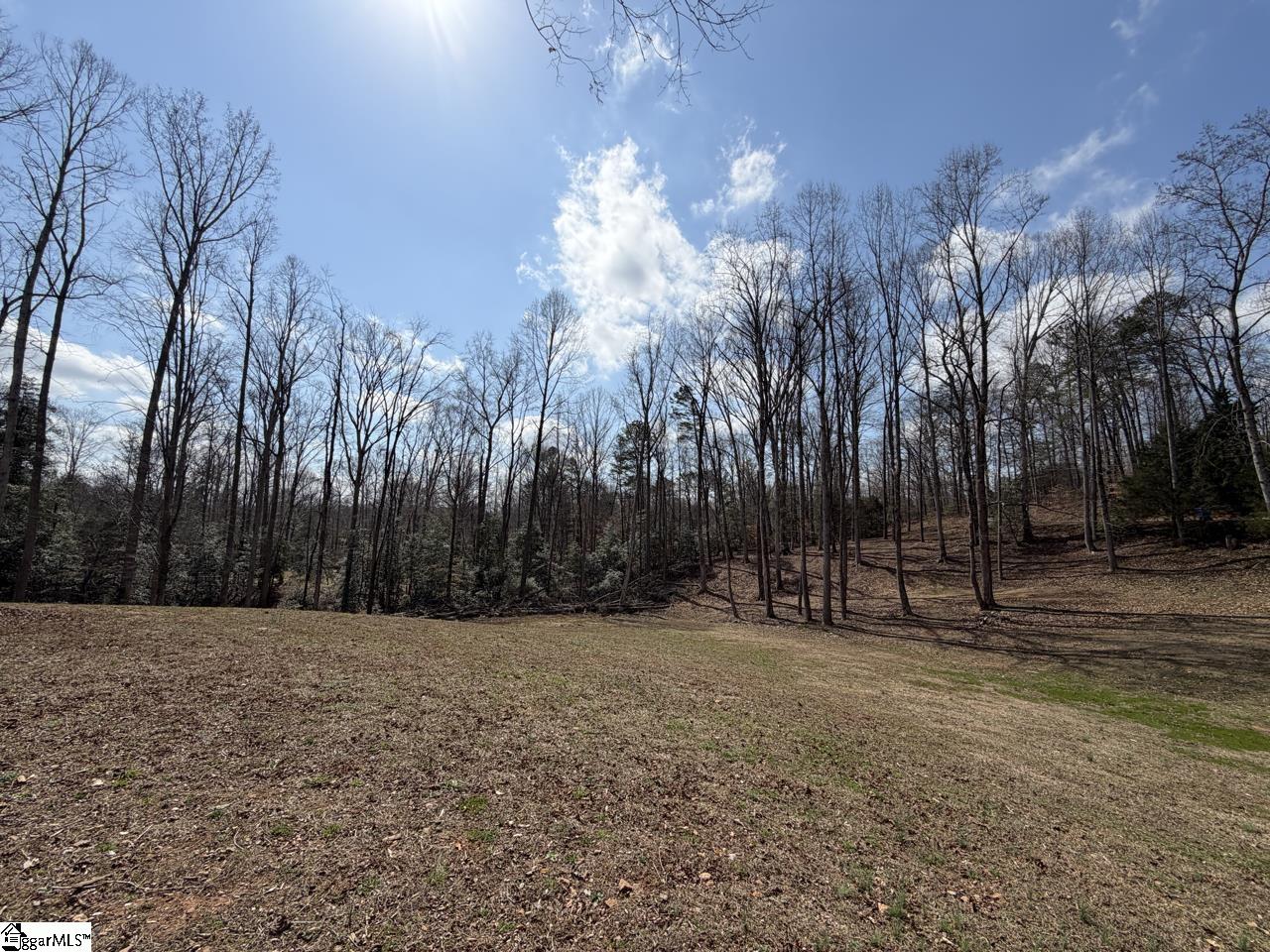 111 River Ridge Drive Moore, SC 29369 - Photo 18 of 49