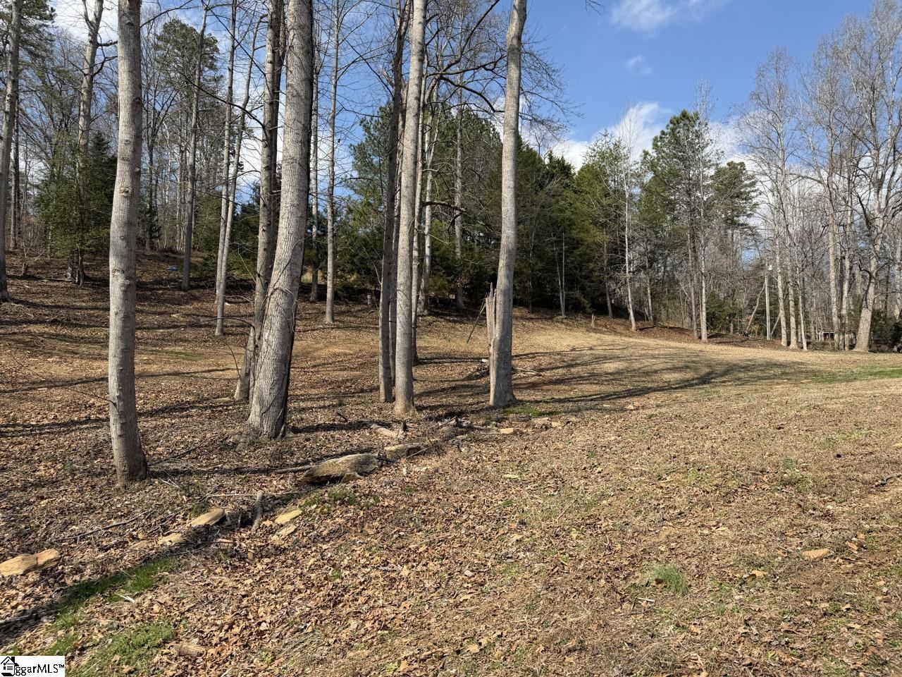 111 River Ridge Drive Moore, SC 29369 - Photo 19 of 49