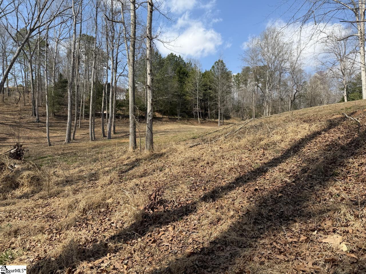 111 River Ridge Drive Moore, SC 29369 - Photo 2 of 49