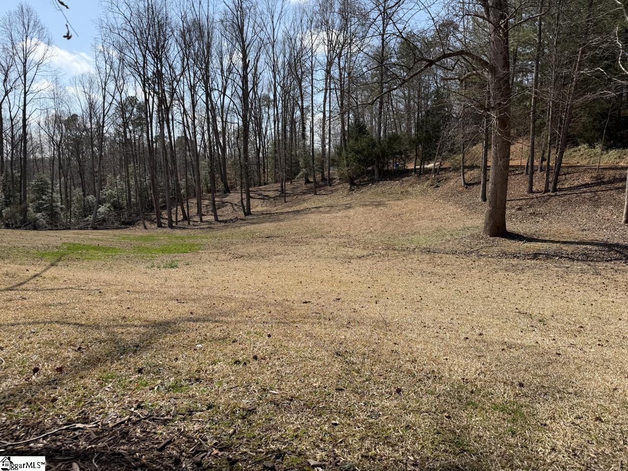 111 River Ridge Drive Moore, SC 29369 - Photo 22 of 49