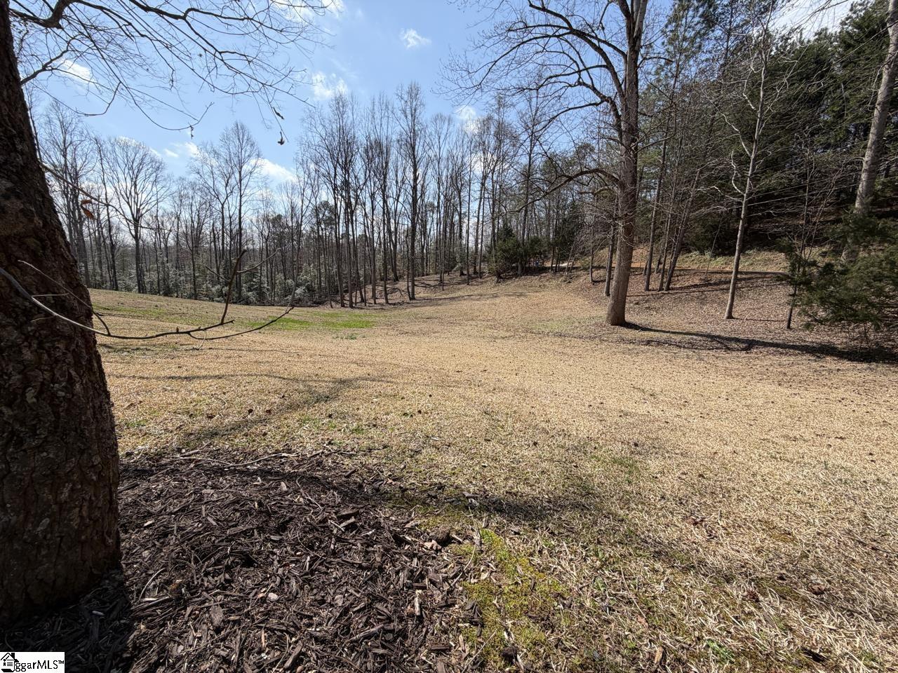 111 River Ridge Drive Moore, SC 29369 - Photo 25 of 49