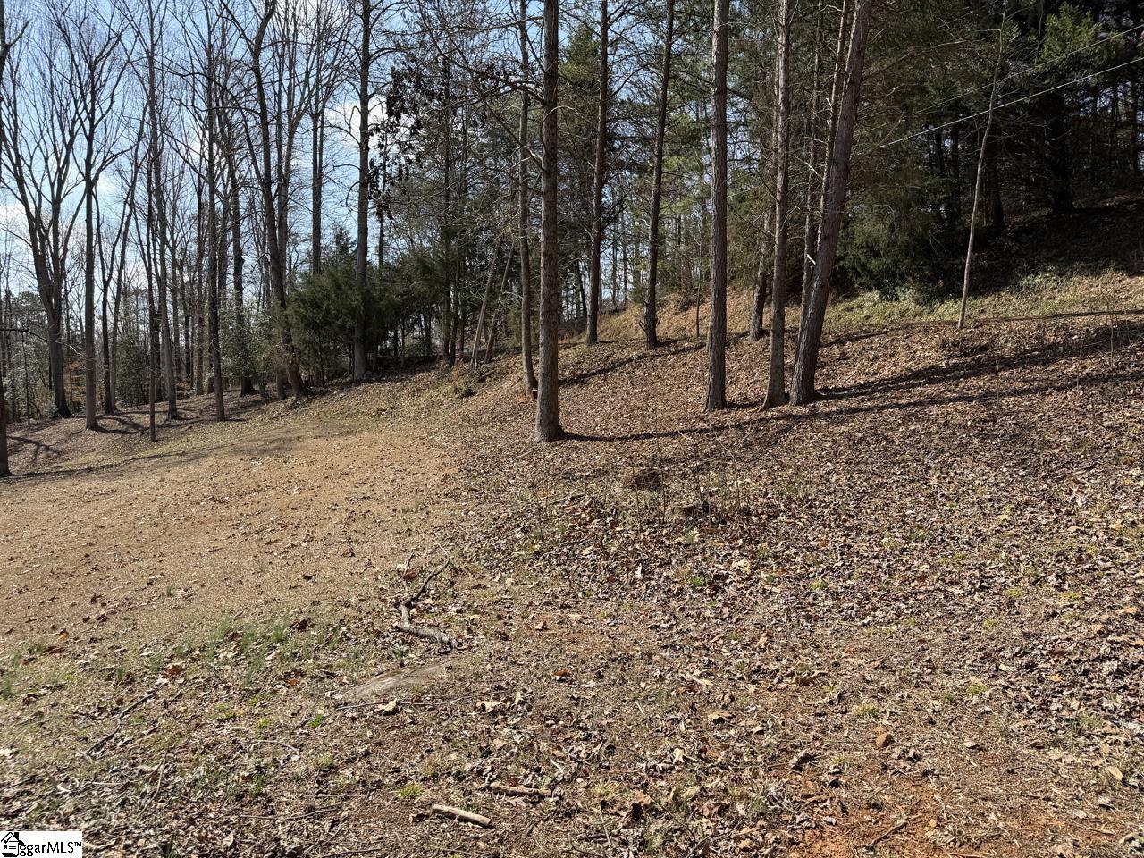 111 River Ridge Drive Moore, SC 29369 - Photo 27 of 49