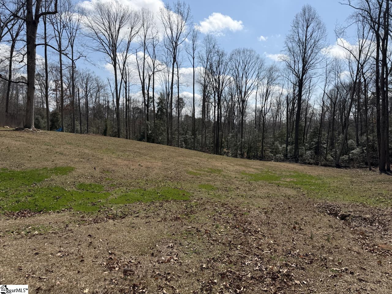 111 River Ridge Drive Moore, SC 29369 - Photo 28 of 49