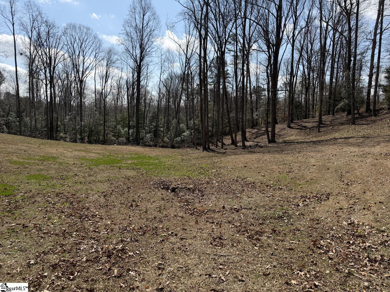 111 River Ridge Drive Moore, SC 29369 - Photo 29 of 49