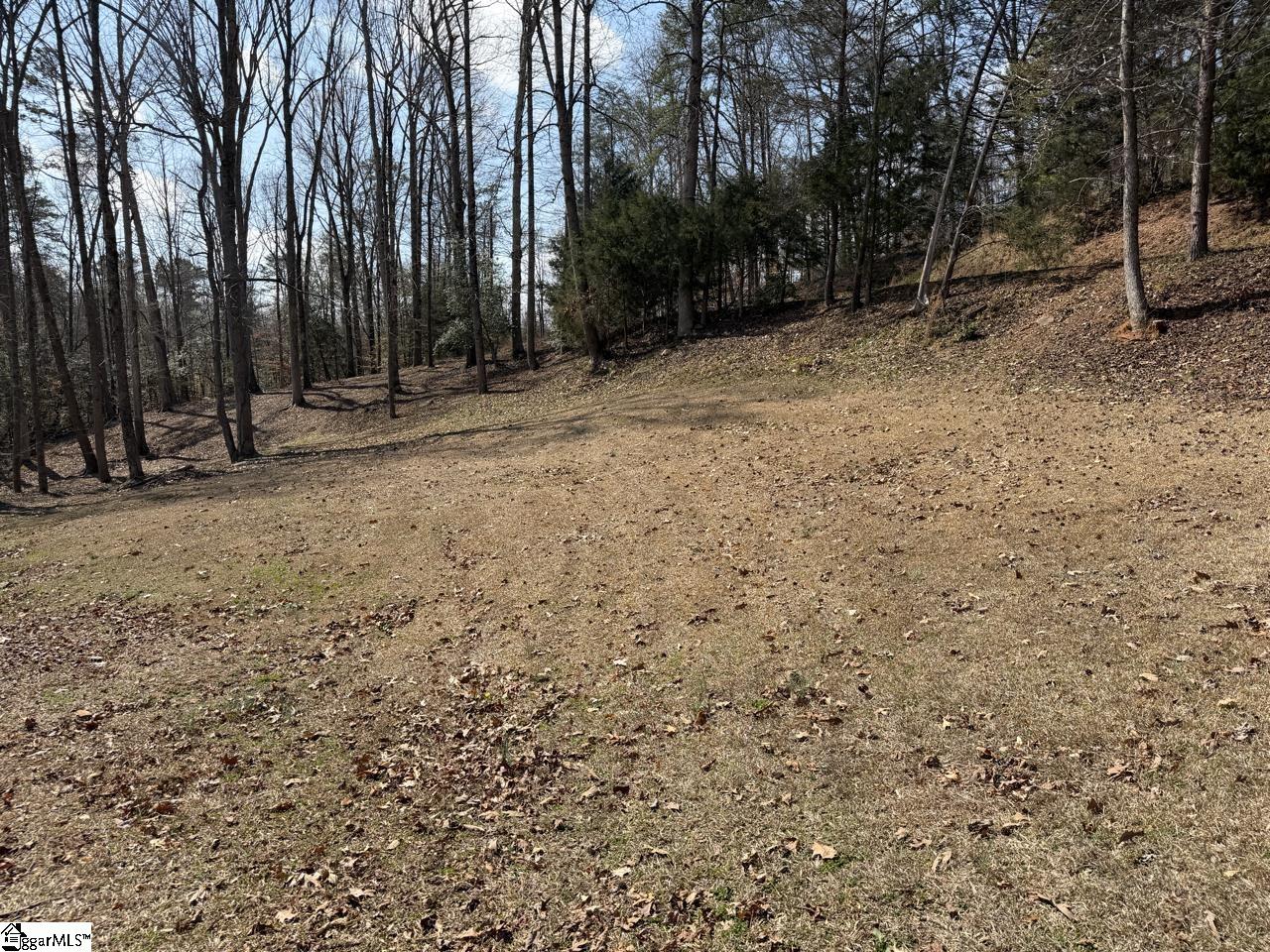 111 River Ridge Drive Moore, SC 29369 - Photo 30 of 49