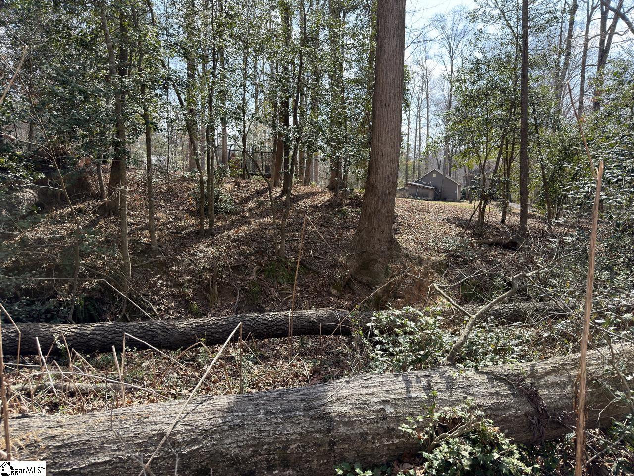 111 River Ridge Drive Moore, SC 29369 - Photo 3 of 49