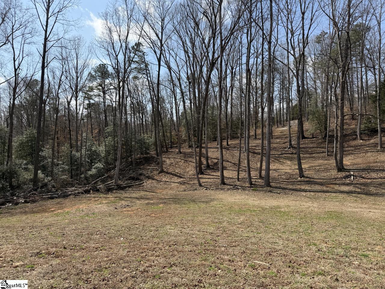 111 River Ridge Drive Moore, SC 29369 - Photo 31 of 49