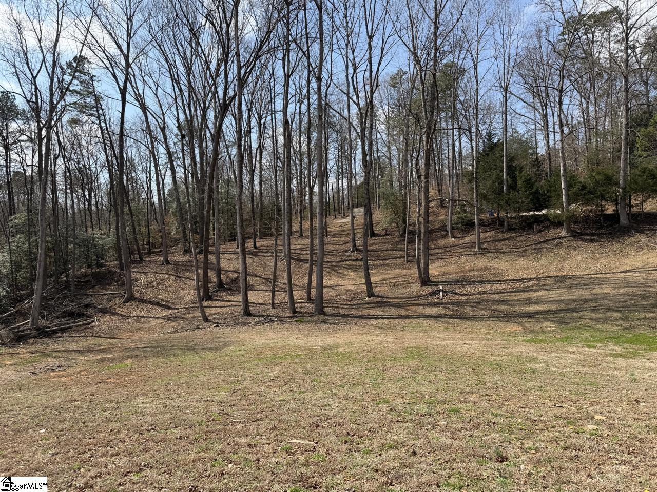 111 River Ridge Drive Moore, SC 29369 - Photo 32 of 49