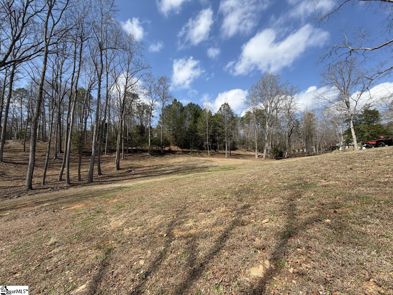 111 River Ridge Drive Moore, SC 29369 - Photo 33 of 49