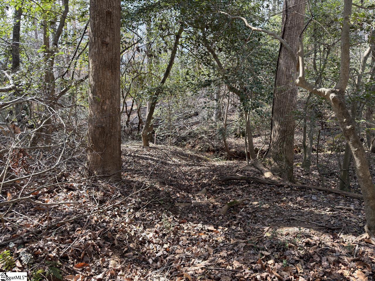 111 River Ridge Drive Moore, SC 29369 - Photo 4 of 49