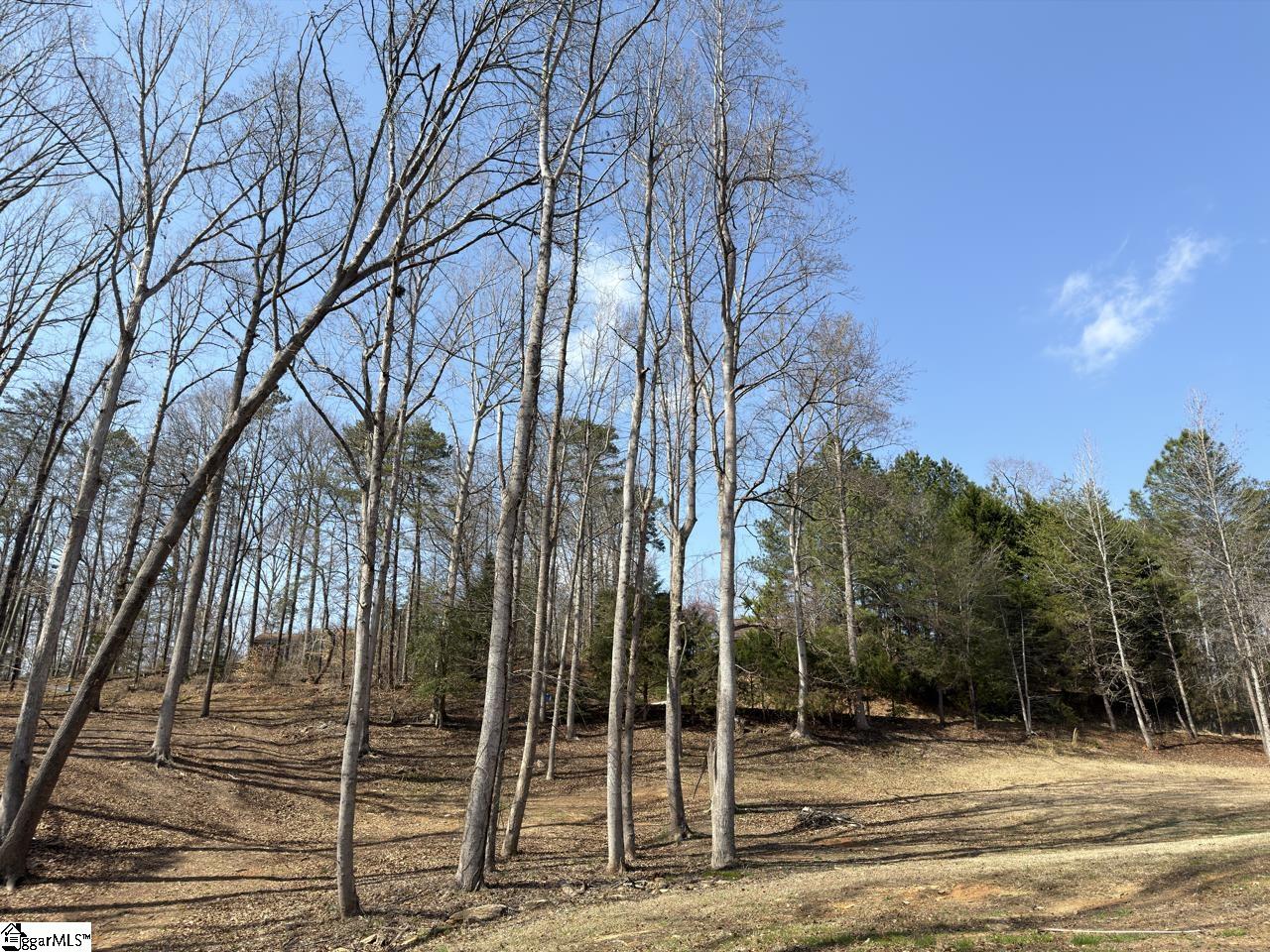 111 River Ridge Drive Moore, SC 29369 - Photo 41 of 49