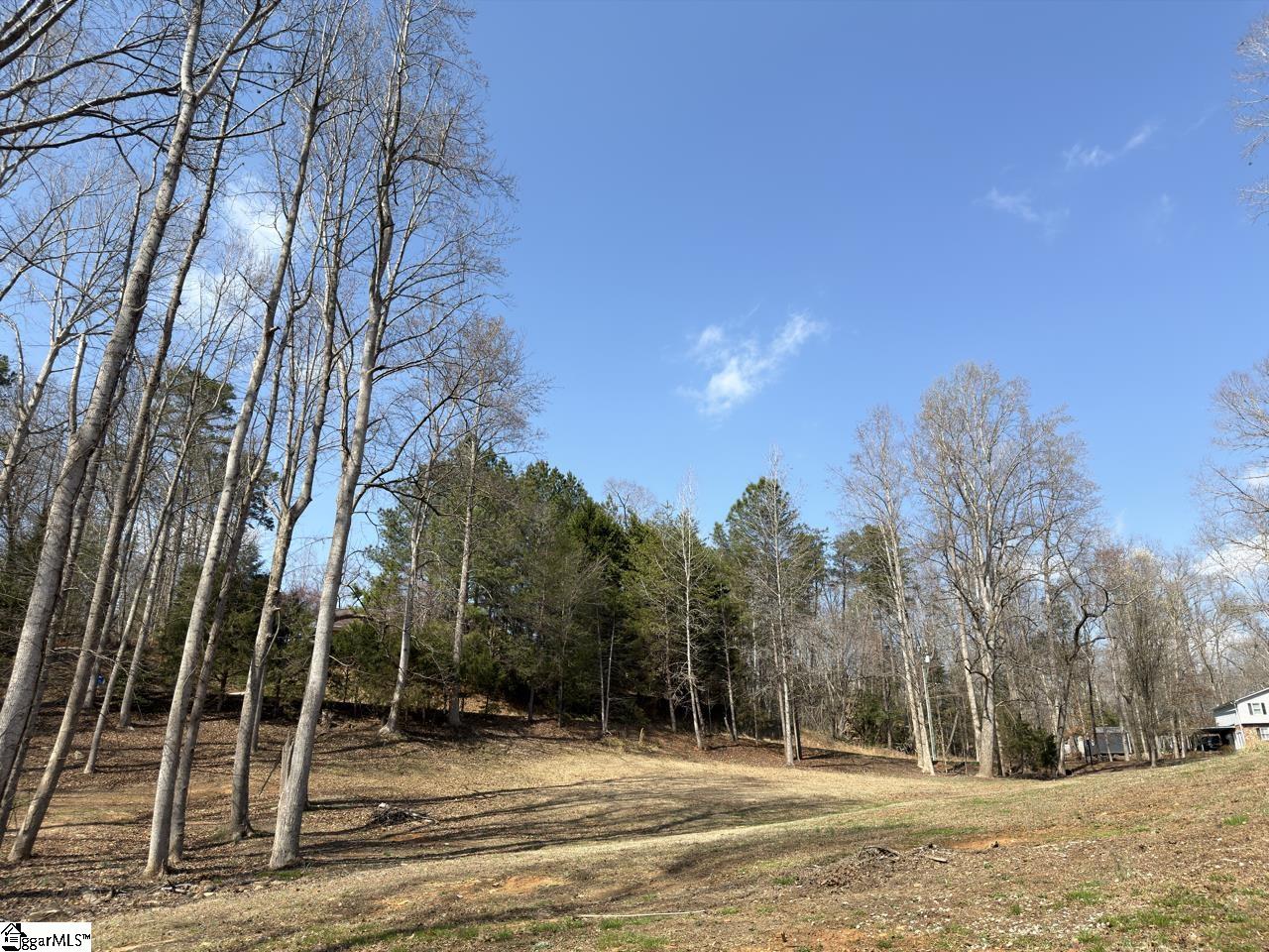 111 River Ridge Drive Moore, SC 29369 - Photo 42 of 49