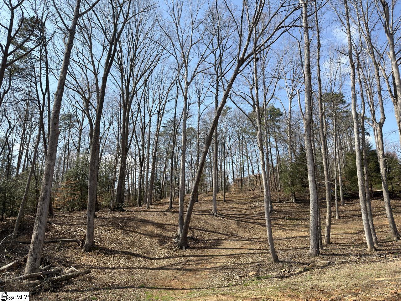 111 River Ridge Drive Moore, SC 29369 - Photo 43 of 49