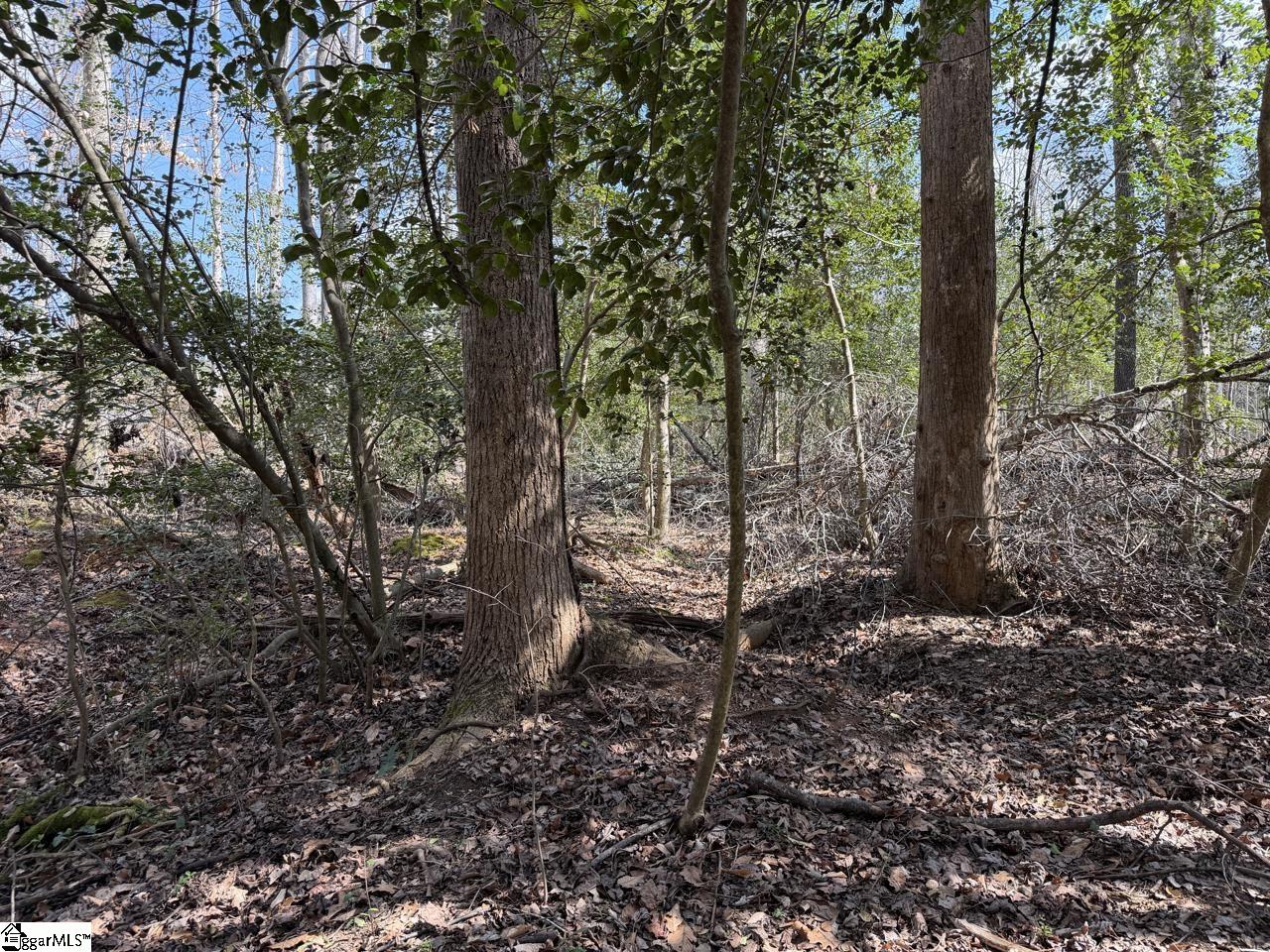 111 River Ridge Drive Moore, SC 29369 - Photo 47 of 49