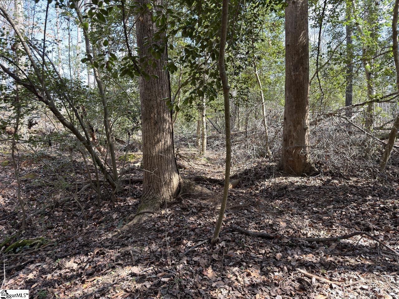 111 River Ridge Drive Moore, SC 29369 - Photo 48 of 49