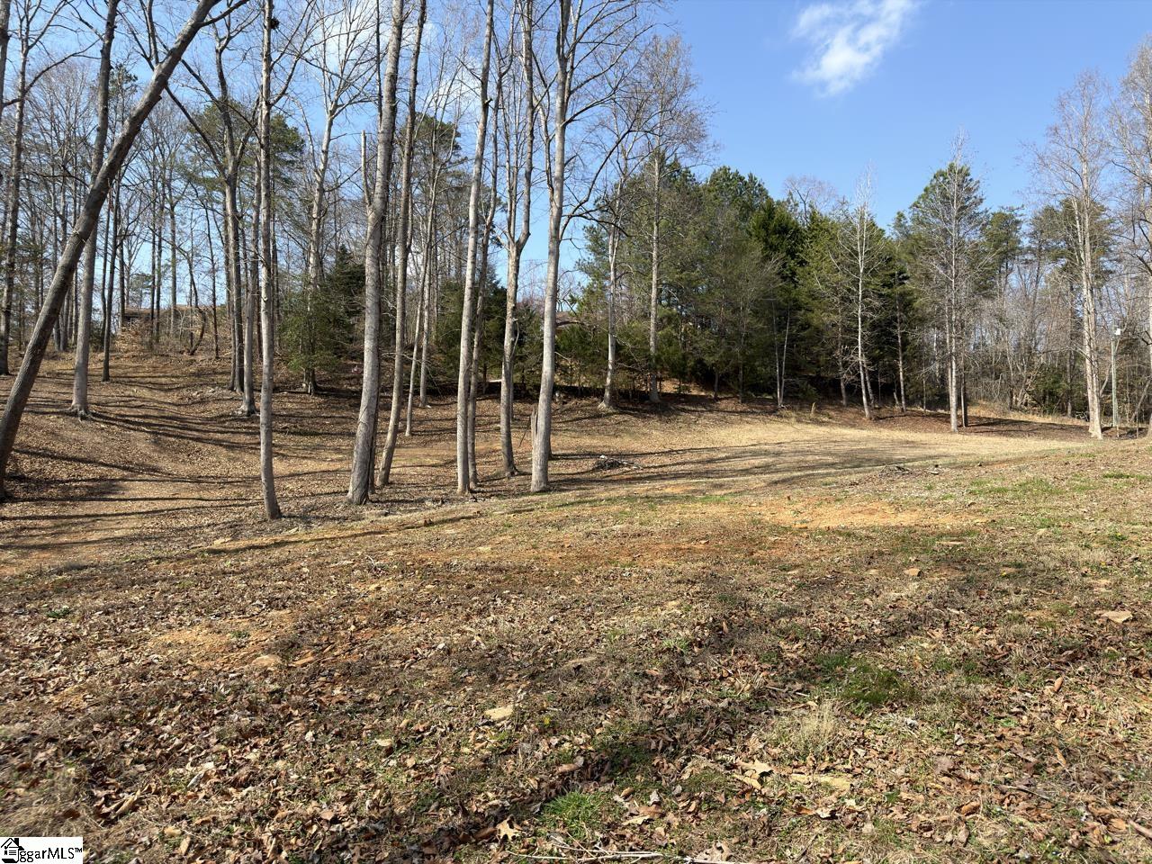 111 River Ridge Drive Moore, SC 29369 - Photo 49 of 49