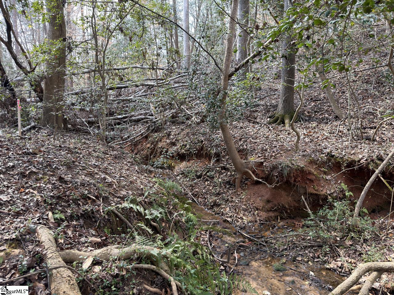 111 River Ridge Drive Moore, SC 29369 - Photo 5 of 49