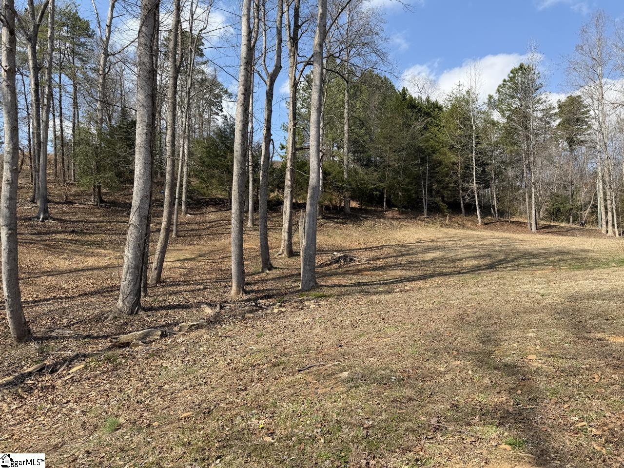 111 River Ridge Drive Moore, SC 29369 - Photo 7 of 49