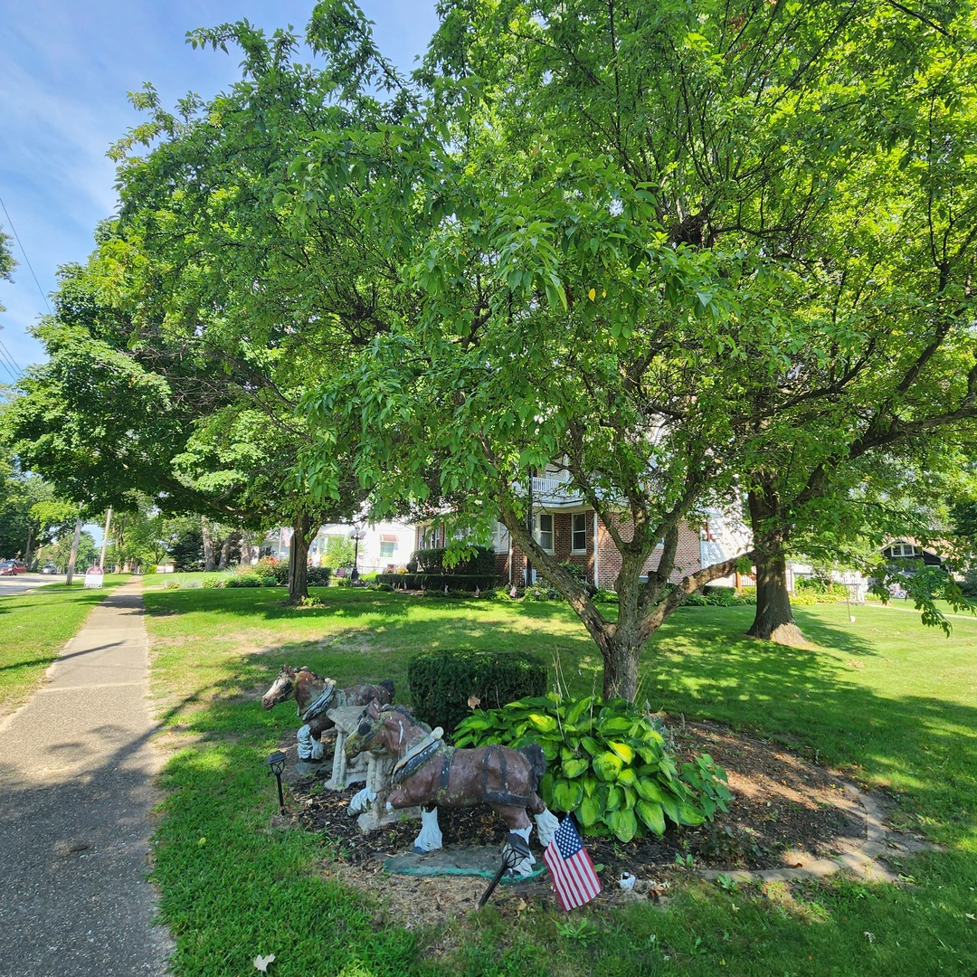 330 East Locust Street Watseka, IL 60970 - Photo 69 of 72 a backyard of a house with lots of green space and fountain