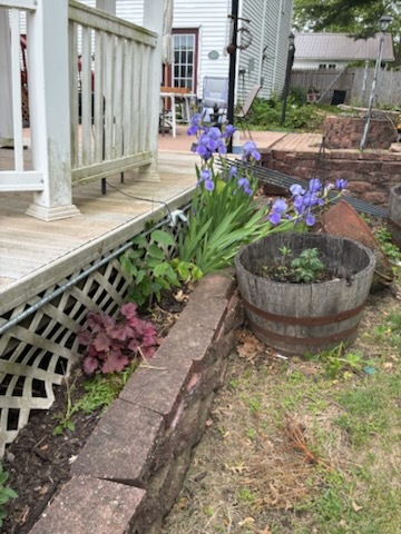 330 East Locust Street Watseka, IL 60970 - Photo 8 of 72 a view of a backyard with potted plants