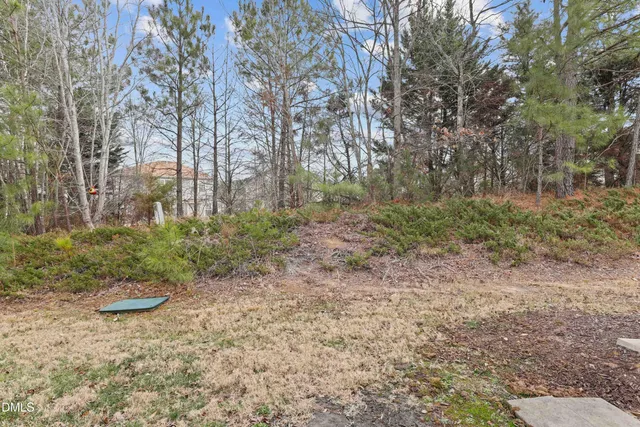 a view of a yard with plants and trees