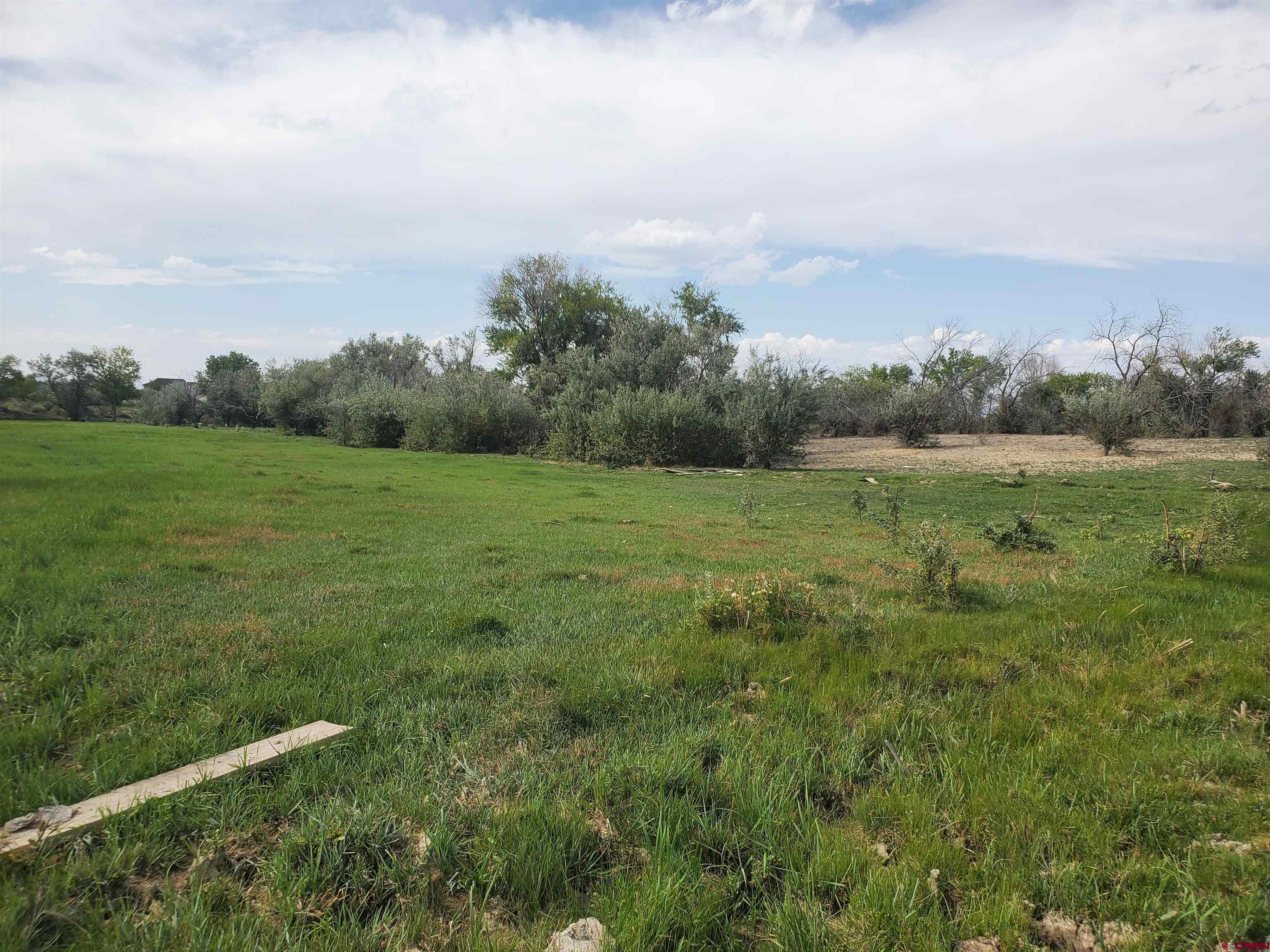 381 6600th Road Montrose, CO 81401 - Photo 7 of 12 Gallery Image 7